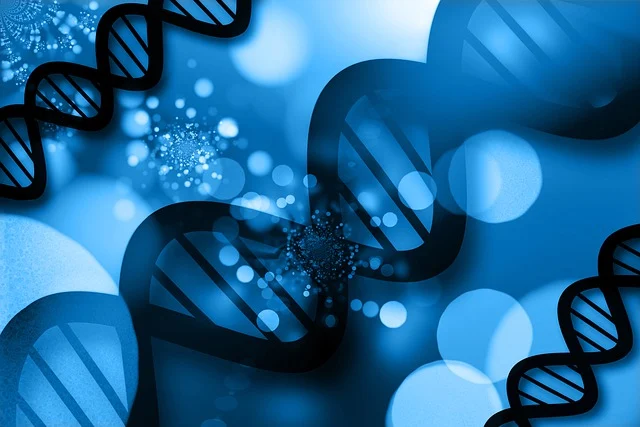 異辛酸汞/13302-00-6，在復雜配方中也能保持穩定的催化性能，確保產品質量